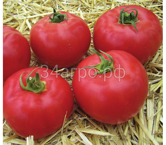 Томат Афен F1 1000 семян