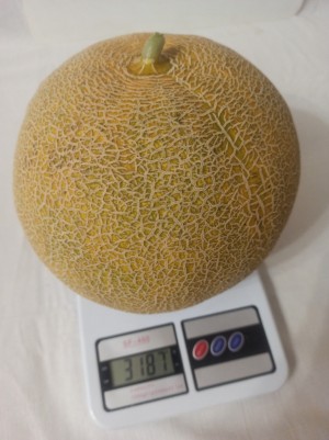 Дыня Ванда F1 (KS 517) 10 семян