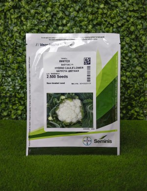 Капуста цветная Вайтекс F1 100 семян