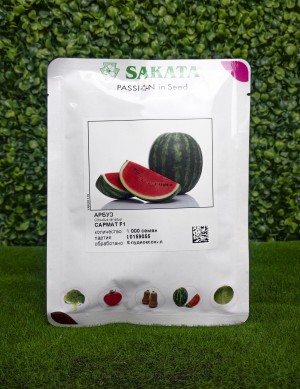 Арбуз Сармат F1 50 семян